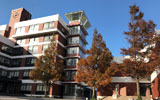 千葉経済大学