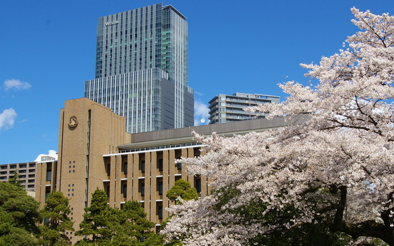 東北大学