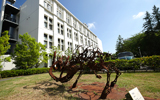 横浜美術大学
