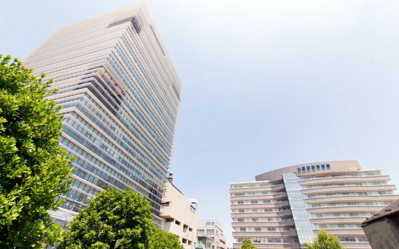 北里大学