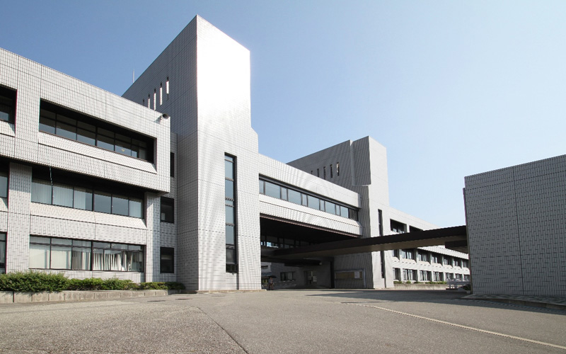 甲子園大学