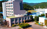 高知大学