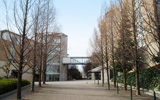 神戸常盤大学