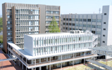 崇城大学