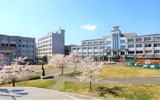 東北文化学園大学