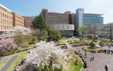 桜美林大学