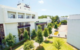 兵庫大学