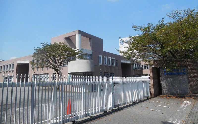 文星芸術大学