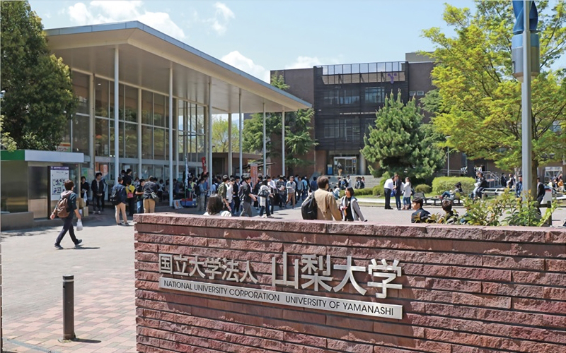 山梨大学