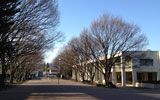 足利大学